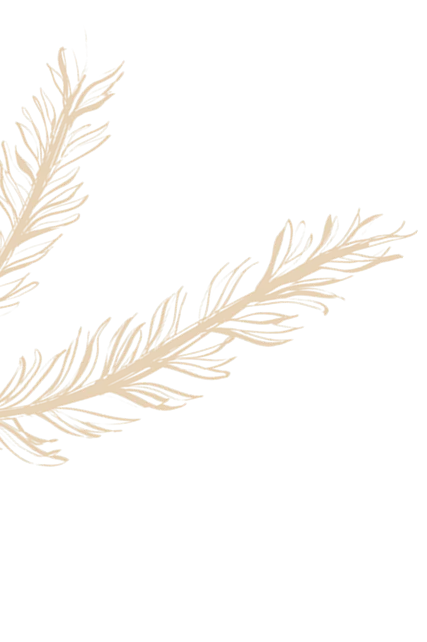 About Himalaya Spicy Left